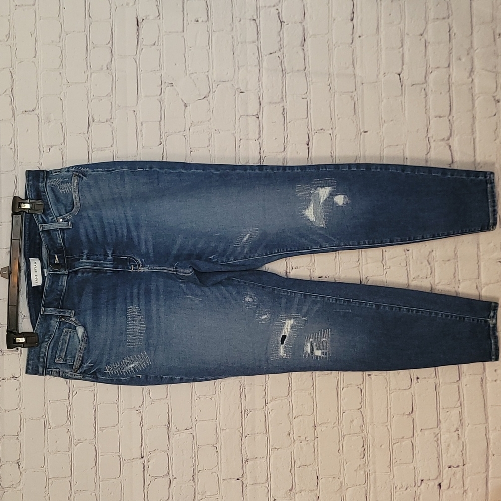 Lane Bryant Skinny Jeans